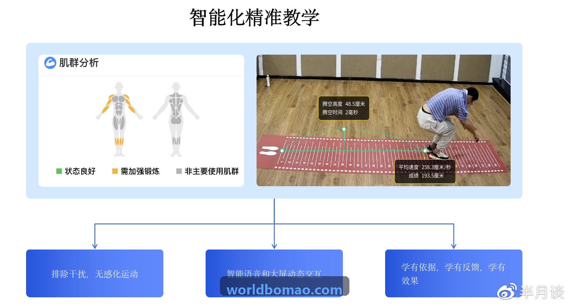 博猫高并发网络拓扑架构图